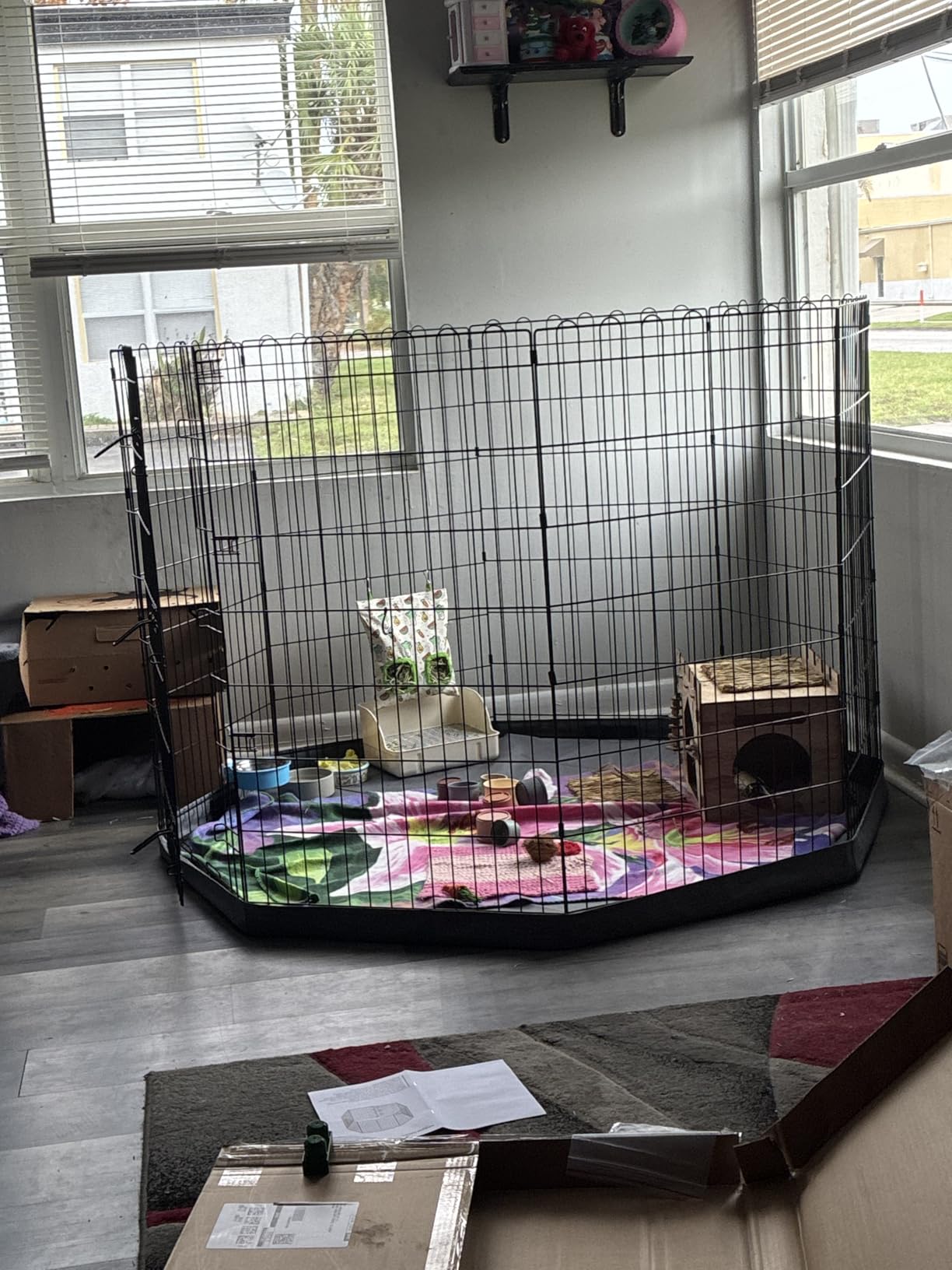 Amazon Basics Foldable Octagonal Metal Exercise Dog Playpen, Indoor/Outdoor Pet Fence, No Door, 8 Panels, Extra Small, 24 x 24 Inches, Black customer photo 1