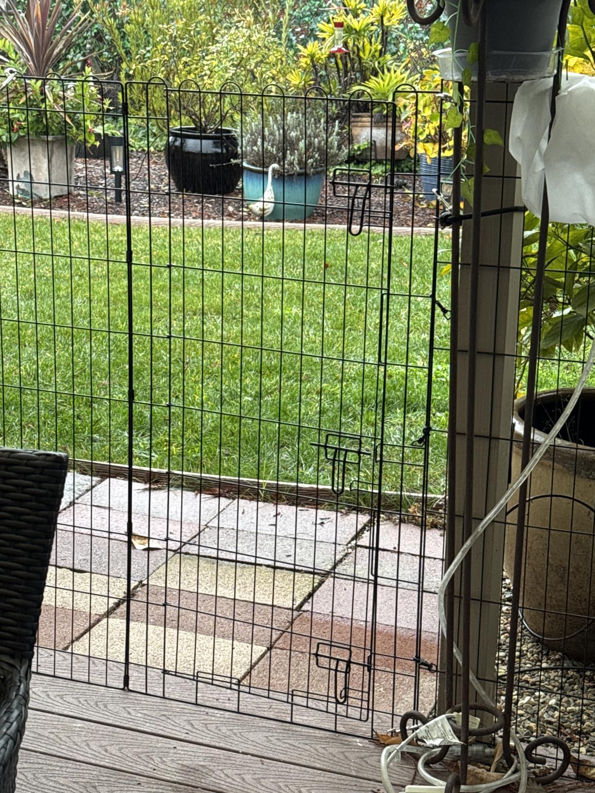 Amazon Basics Foldable Octagonal Metal Exercise Dog Playpen, Indoor/Outdoor Pet Fence, No Door, 8 Panels, Extra Small, 24 x 24 Inches, Black customer photo 2