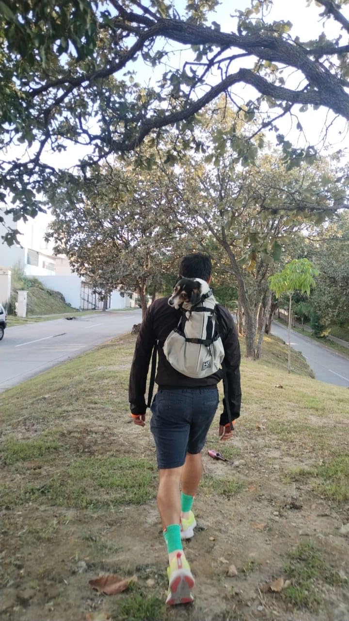 K9 Sport Sack Air 2 - Durable, Breathable Backpack-Style Carrier for Walks, Short Hikes & Public Transportation customer photo 2