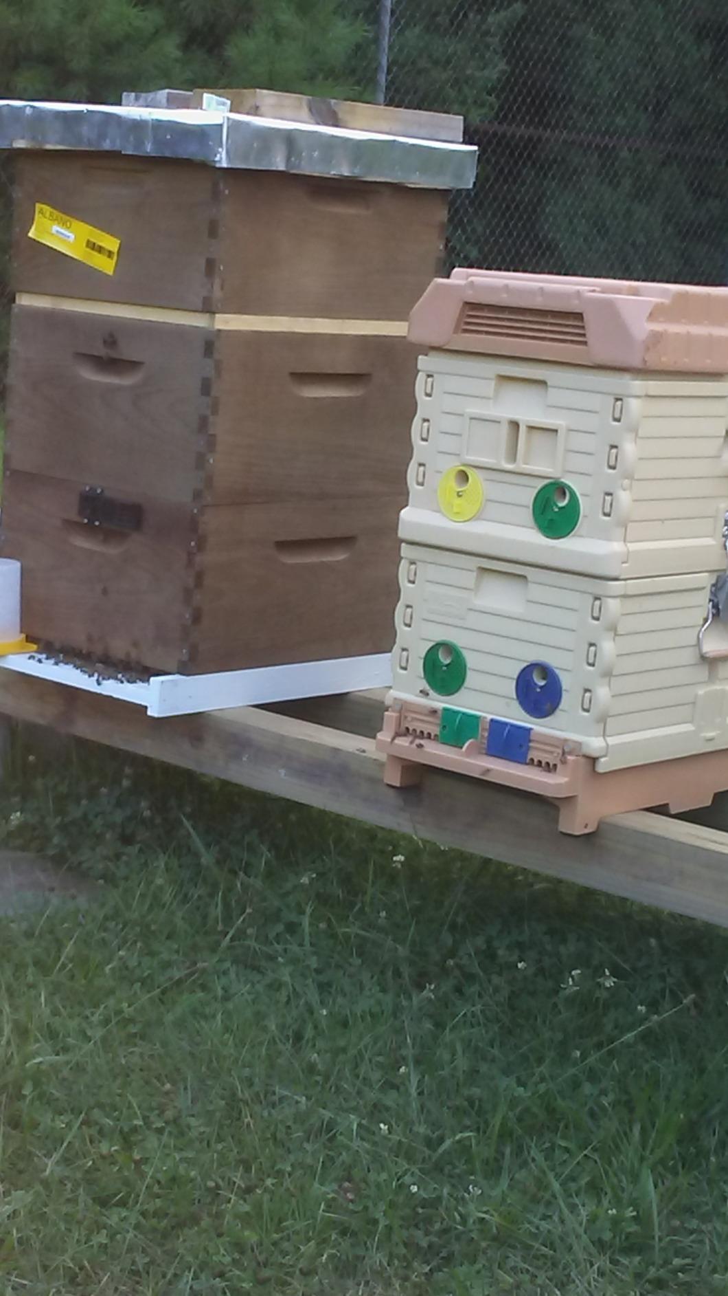 Apimaye Insulated 7 Frame Langstroth Nucleus Assembled Bee Hive Set with Core Frames and Foundations customer photo 1