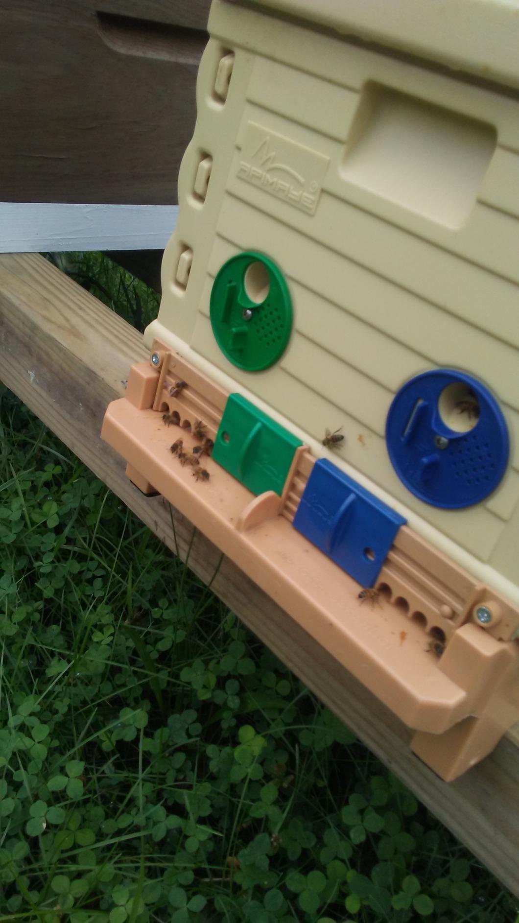 Apimaye Insulated 7 Frame Langstroth Nucleus Assembled Bee Hive Set with Core Frames and Foundations customer photo 2