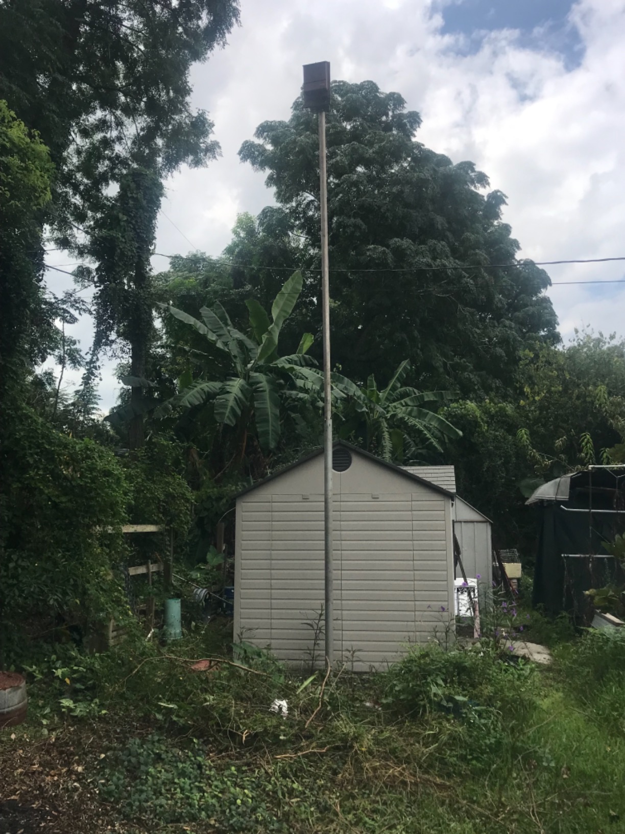 Kenley Bat House - Outdoor Bat Box Shelter with Large Double Chamber - Handcrafted from Cedar Wood - Easy for Bats to Land and Roost - Weather Resistant & Ready to Install customer photo 2