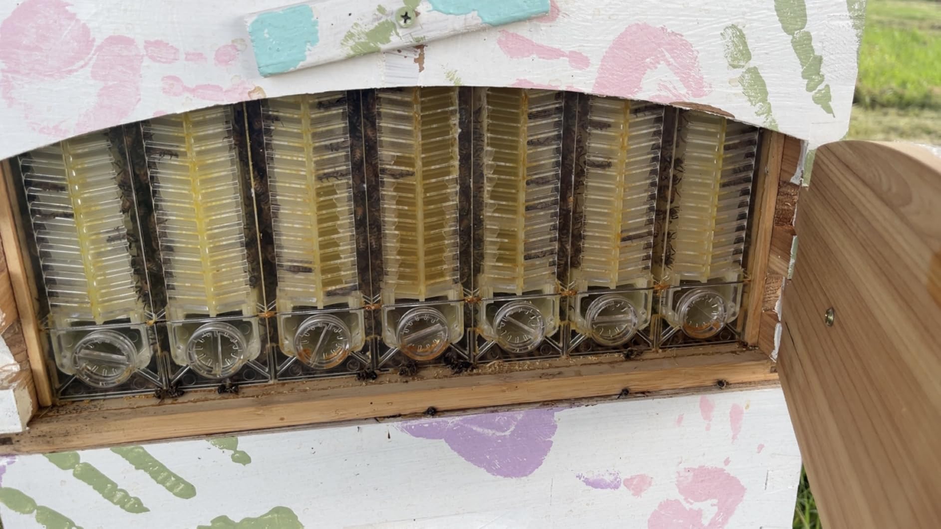 Golden Palace Bee Hive with 7pcs Auto Super Frames, Bee House with Super Boxes and Brood Boxes, Bee Hives Starter Beekeeping Kits customer photo 2
