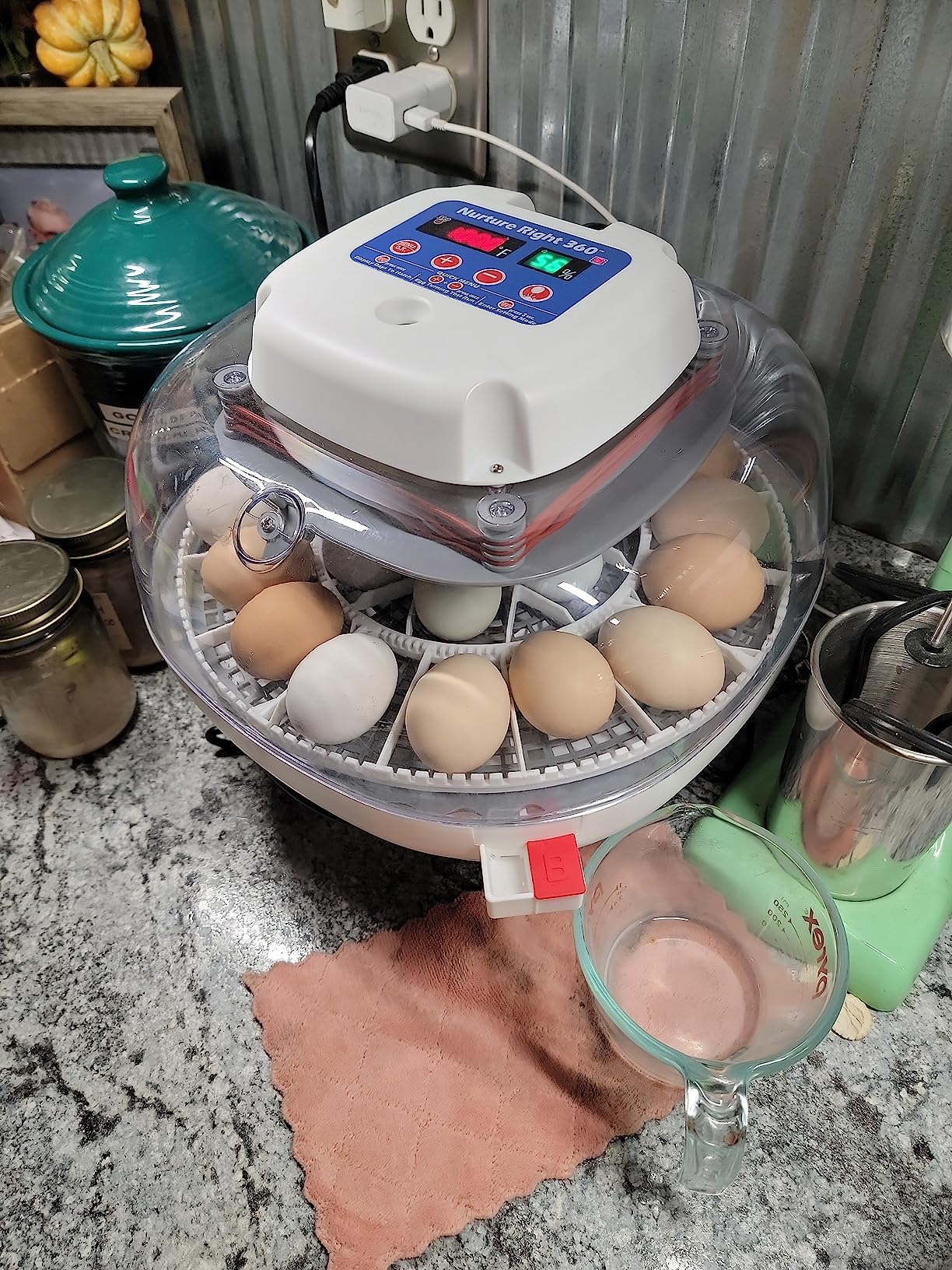 Harris Farms Nurture Right Egg Incubator for Hatching Chicks, Holds 12-22 Eggs, Automatic Turner with Temperature and Humidity Control, 360 Degree View with Clear Window customer photo 1