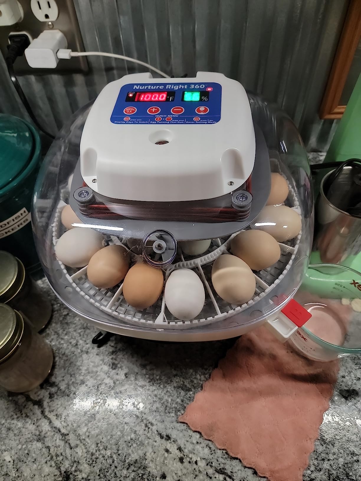 Harris Farms Nurture Right Egg Incubator for Hatching Chicks, Holds 12-22 Eggs, Automatic Turner with Temperature and Humidity Control, 360 Degree View with Clear Window customer photo 2