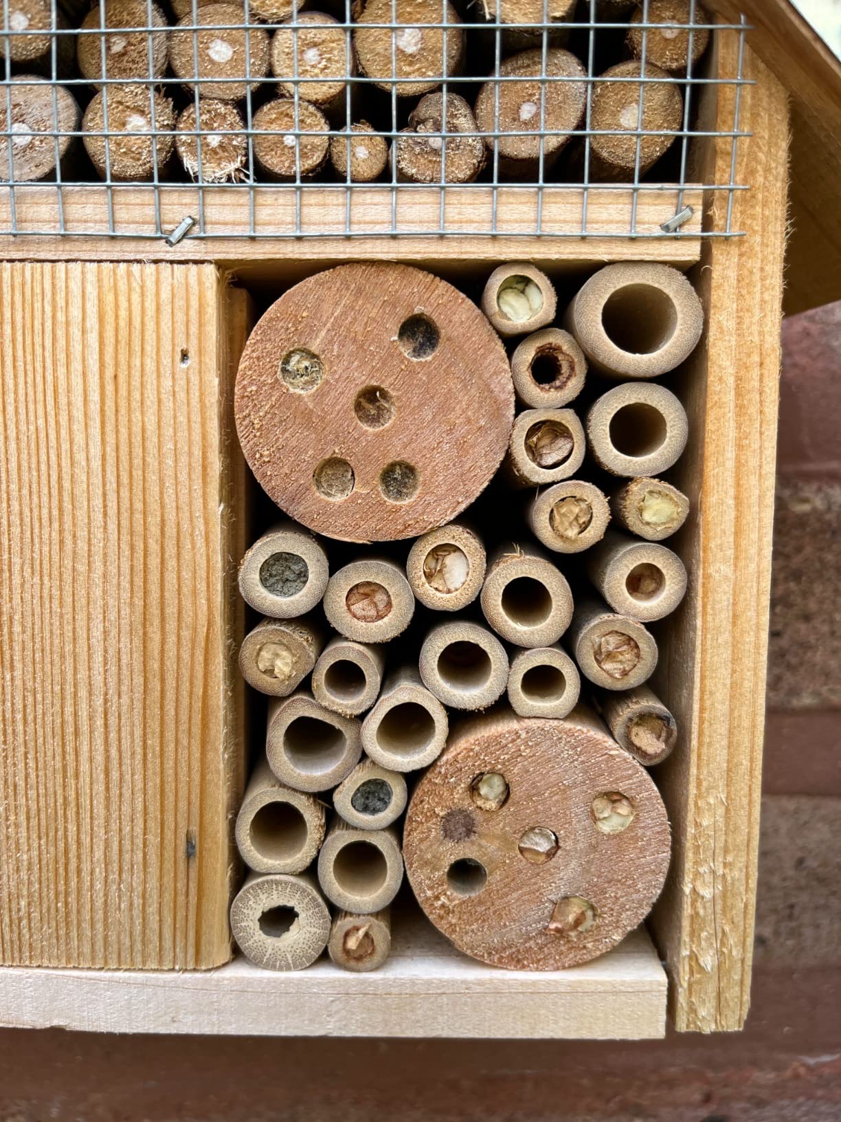 Navaris M Wooden Insect Hotel - 10 x 11 x 3 Inches - Natural Wood Insect Home Bamboo Nesting Habitat - Garden Shelter for Bees, Butterflies, Ladybugs customer photo 1