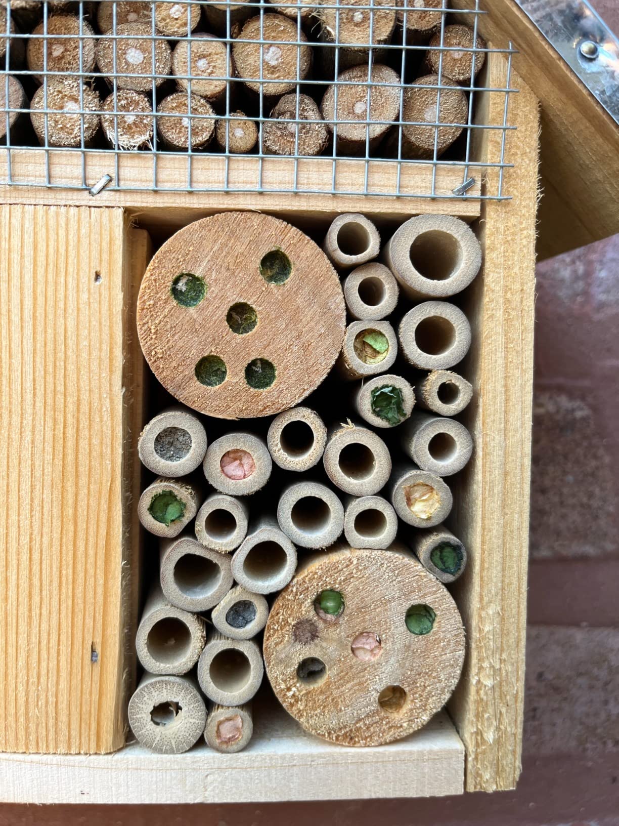 Navaris M Wooden Insect Hotel - 10 x 11 x 3 Inches - Natural Wood Insect Home Bamboo Nesting Habitat - Garden Shelter for Bees, Butterflies, Ladybugs customer photo 2
