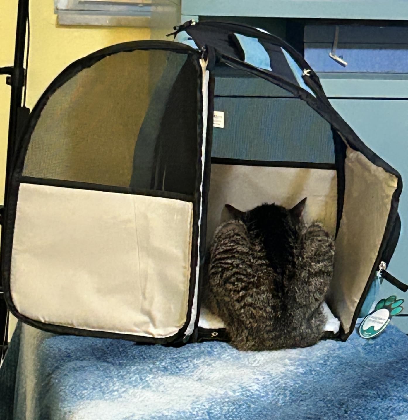 PetAmi Dog Backpack Carrier for Small Large Cat, Pet, Puppy, Ventilated Pet Hiking Backpack Travel Bag customer photo 1