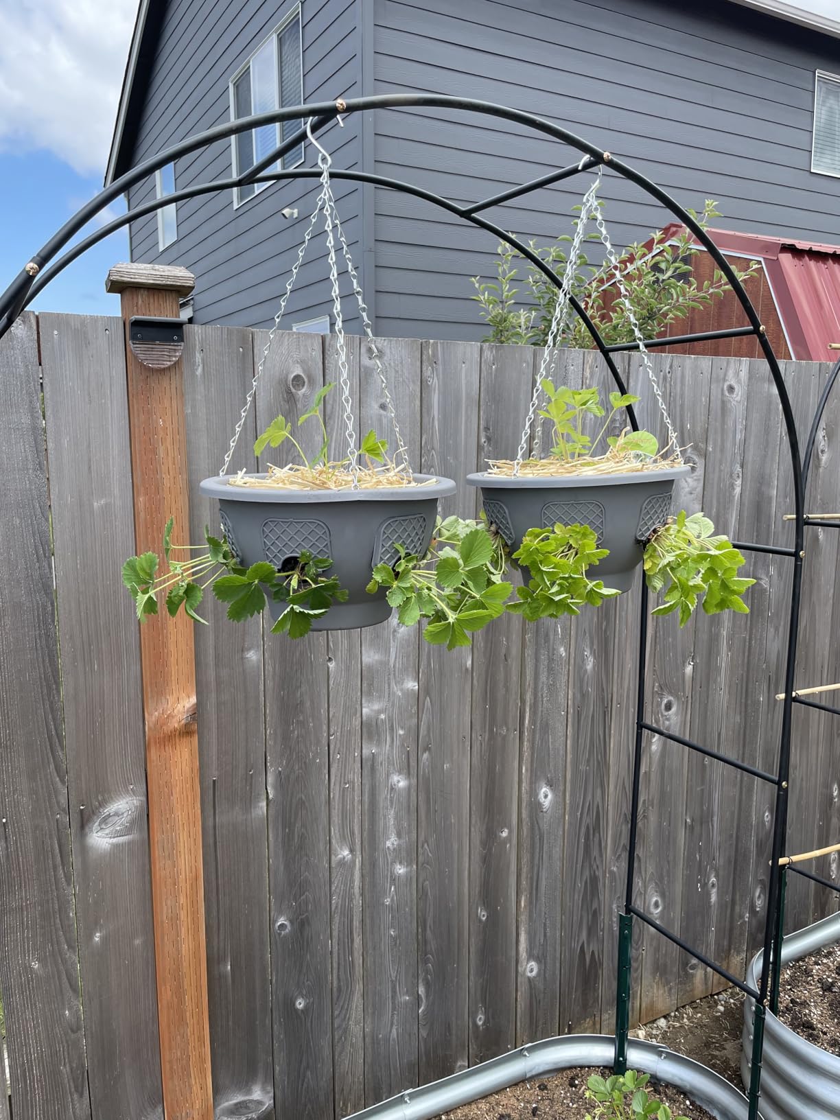 Ultimate Hanging Baskets - Strawberry, Tomato, Flower, and Herb Outdoor Planters - Use Garden Pots for Growing Plants Outside On A Deck, Fence, or Balcony (2) customer photo 1