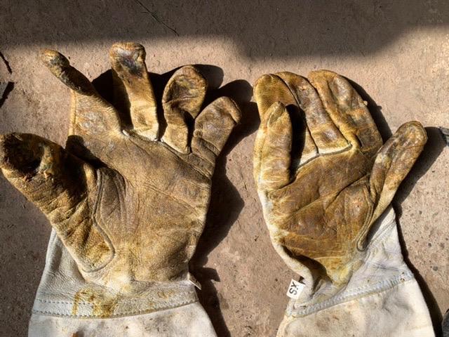 Goatskin Leather Beekeeper's Glove with Long Canvas Sleeve & Elastic Cuff customer photo 2