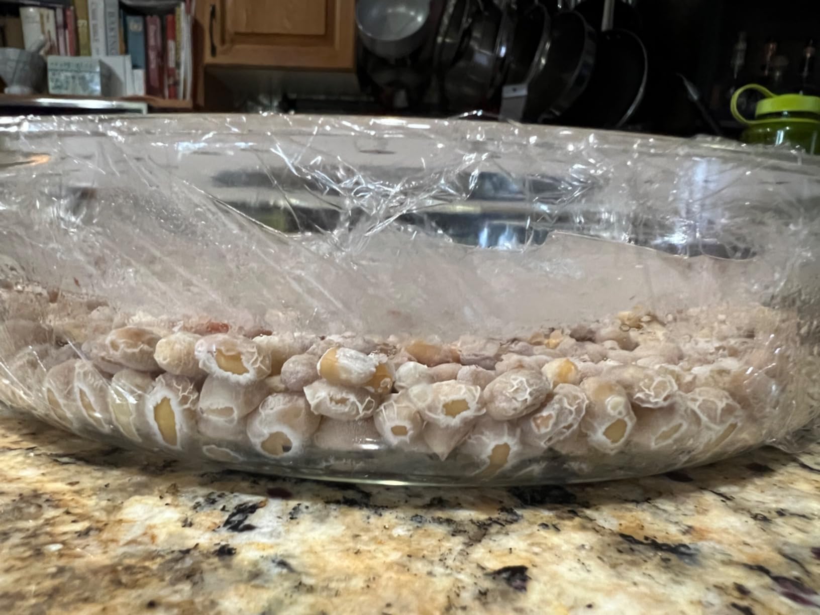 Japanese Natto Starter Spores (Nattomoto) - 3g (enough to make 30kg of natto). 100% Organic Soybean Extract. 100% Product of Japan customer photo 1