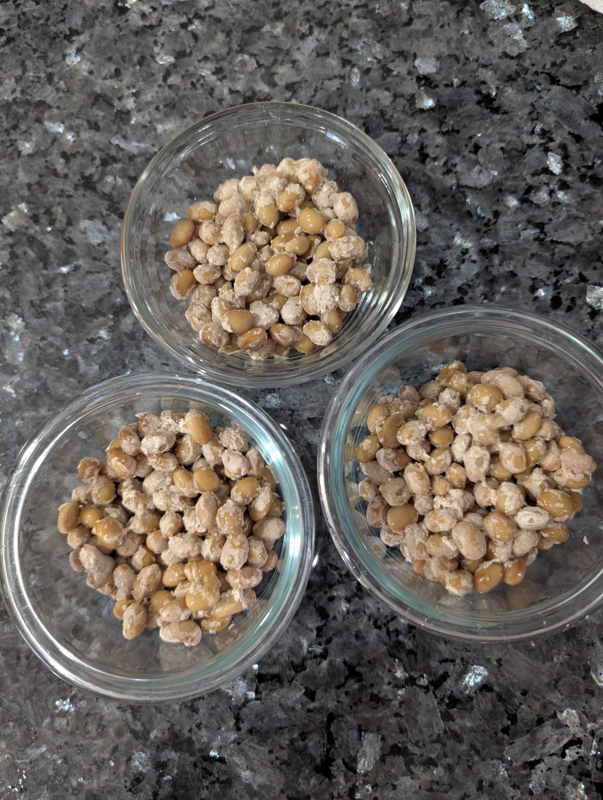 Japanese Natto Starter Spores (Nattomoto) - 3g (enough to make 30kg of natto). 100% Organic Soybean Extract. 100% Product of Japan customer photo 2
