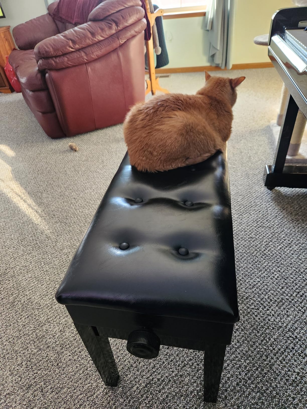 Bonnlo Adjustable Duet Piano Bench with Storage Black Faux Leather Piano Stool Deluxe Padded Seat with 2