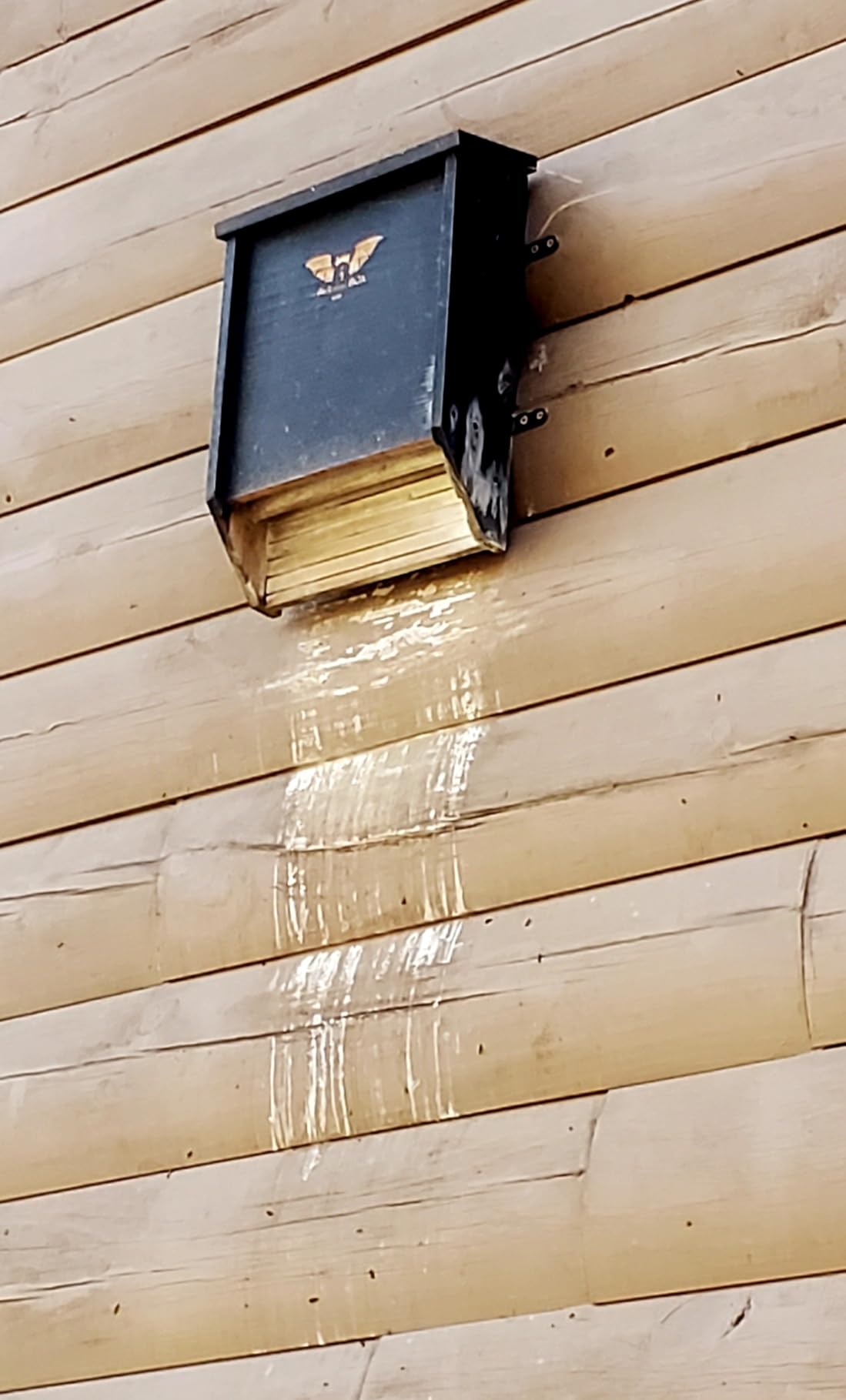 BIGBATBOX - Bat House for Outdoors - Clean Your Backyard from Mosquitoes - Wooden Bat House Kit - with Our Proven Bat Box Design, You are Almost Guaranteed to Attract Bats! WildYard customer photo 1