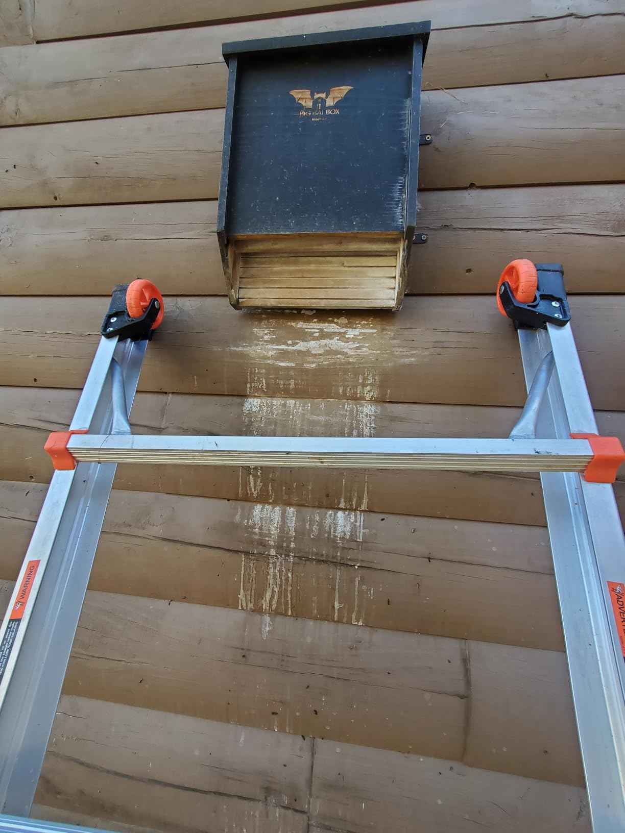 BIGBATBOX - Bat House for Outdoors - Clean Your Backyard from Mosquitoes - Wooden Bat House Kit - with Our Proven Bat Box Design, You are Almost Guaranteed to Attract Bats! WildYard customer photo 2