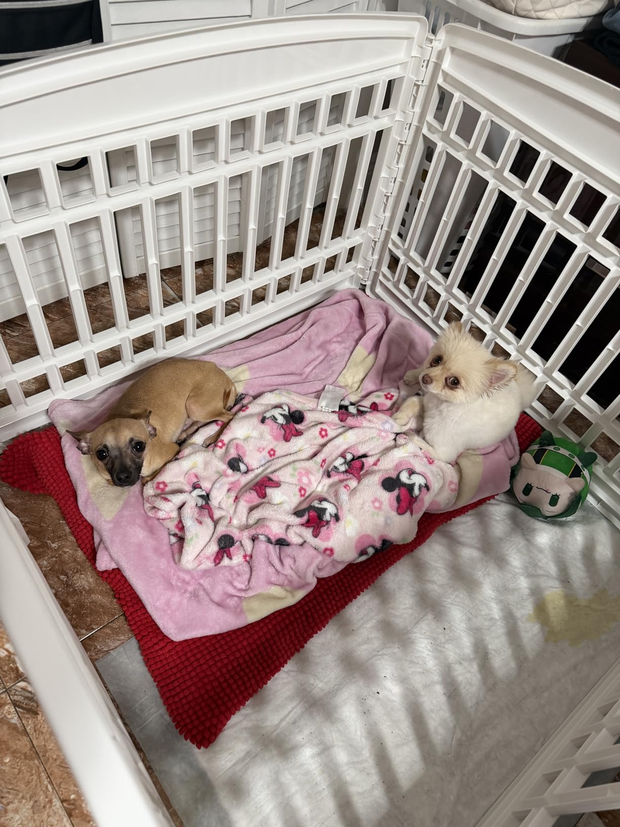 IRIS USA Dog Playpen with Door, 24