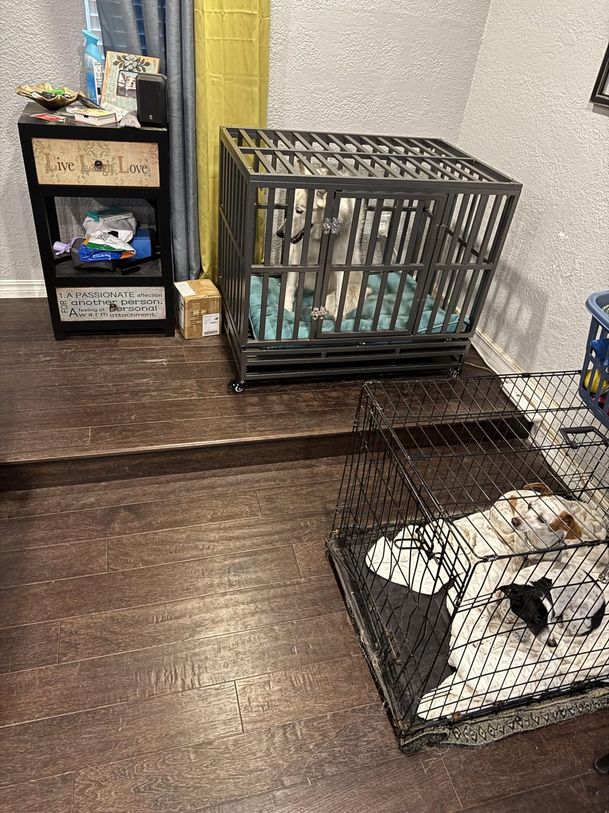 LUCKUP 38 Inch Heavy Duty Dog Cage Metal Kennel and Crate for Large Dogs, Easy to Assemble Pet Playpen with Four Wheels, Black customer photo 1