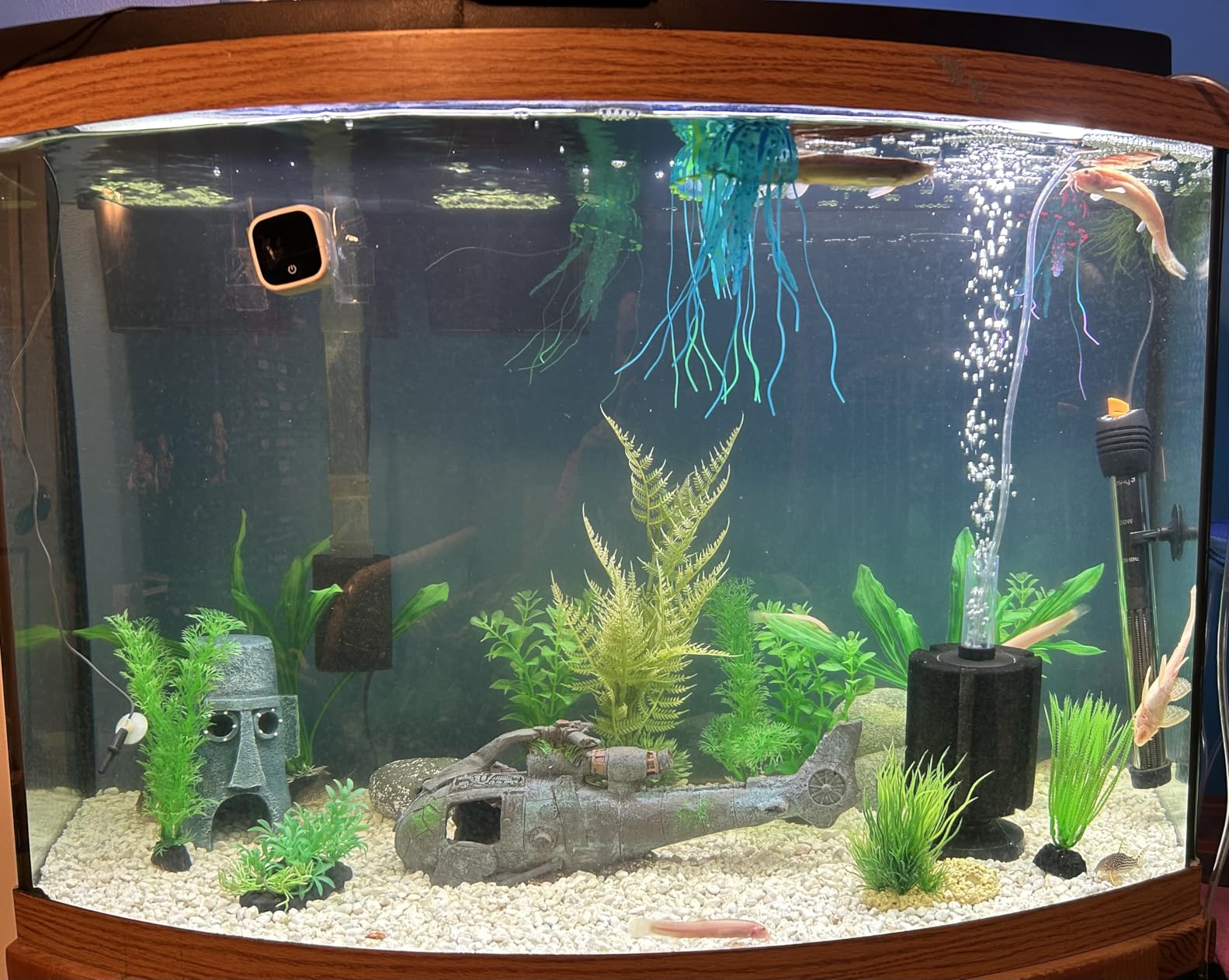 Orlushy Submersible Aquarium Heater,300W Adjustable Fish Tahk Heater with 2 Suction Cups Free Thermometer Suitable for Marine Saltwater and Freshwater customer photo 1