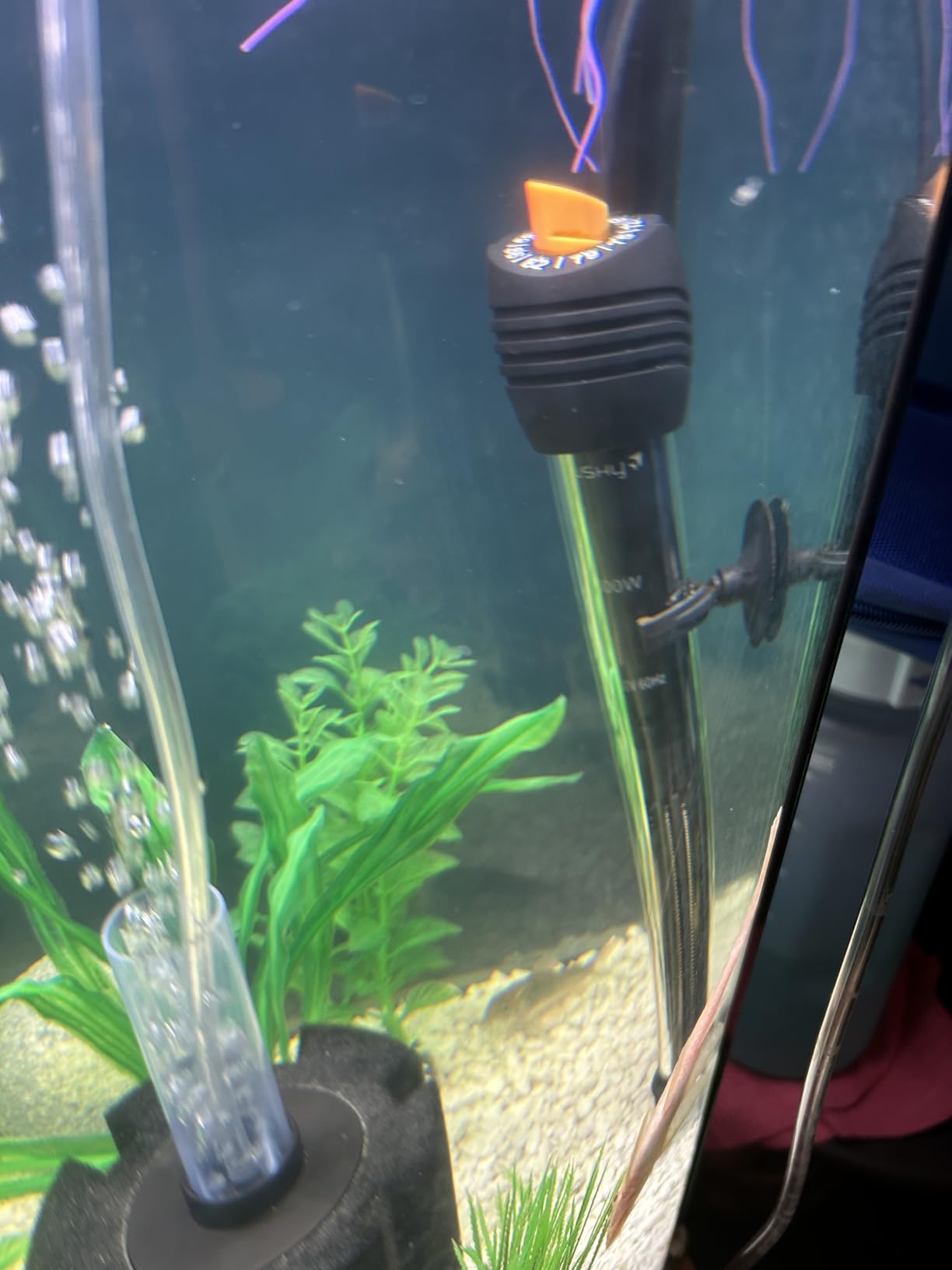 Orlushy Submersible Aquarium Heater,300W Adjustable Fish Tahk Heater with 2 Suction Cups Free Thermometer Suitable for Marine Saltwater and Freshwater customer photo 2