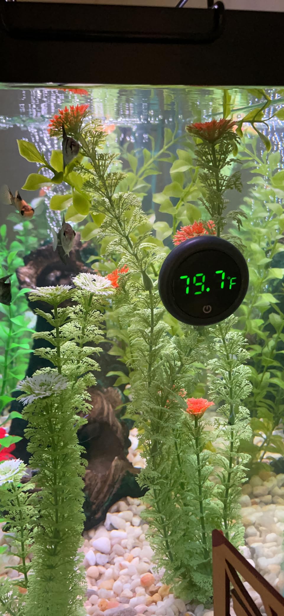 Orlushy Submersible Aquarium Heater,200W Adjustable Fish Tahk Heater with 2 Suction Cups Free Thermometer Suitable for Marine Saltwater and Freshwater customer photo 2