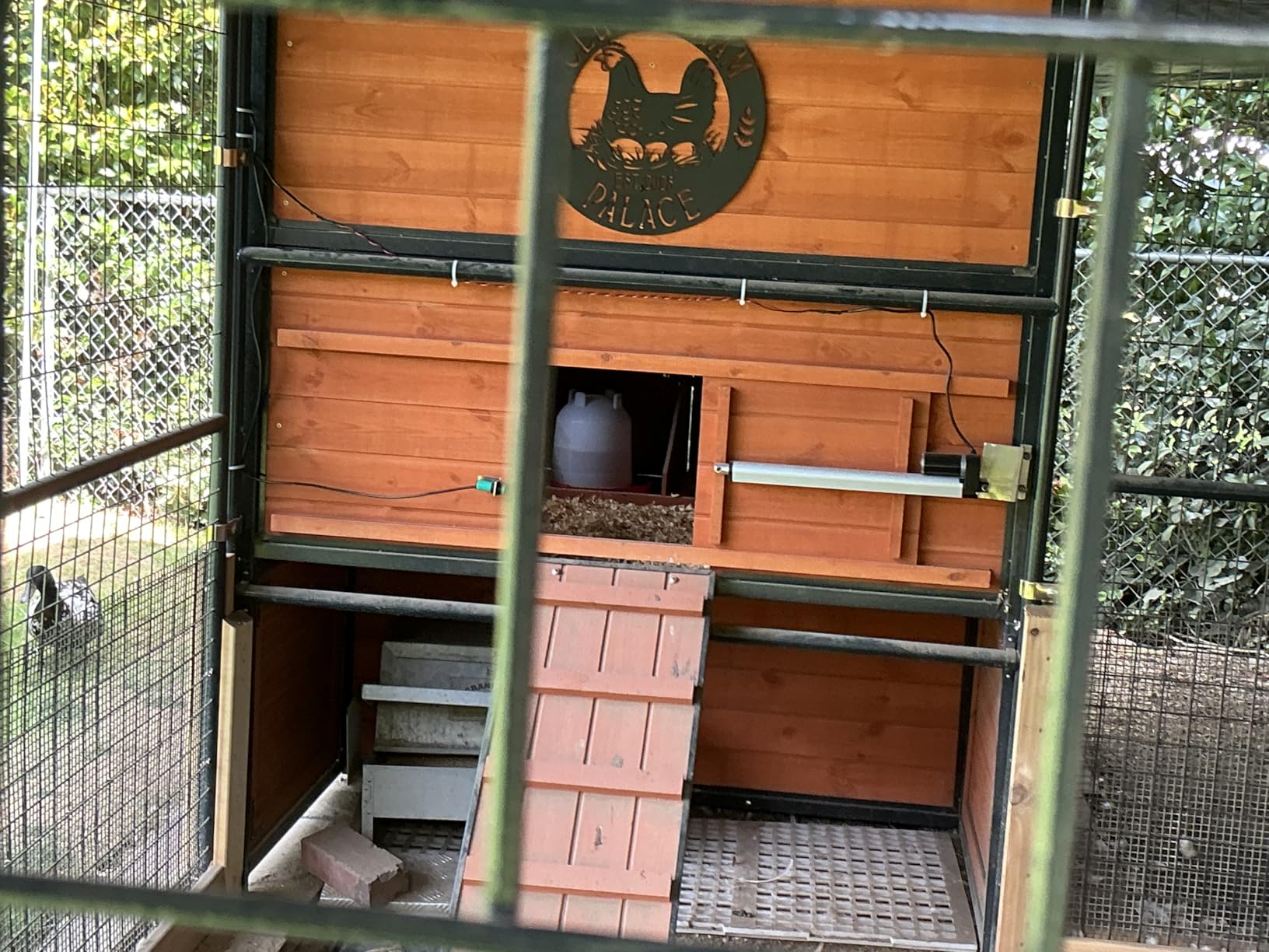 JVR Automatic Chicken Coop Door with Timer, Heavy Duty Aluminum Security Door, Smart Anti-Pinch Sensor & Industrial Screw-Rod Actuator, Precise Dusk to Dawn Schedule, Fits 11