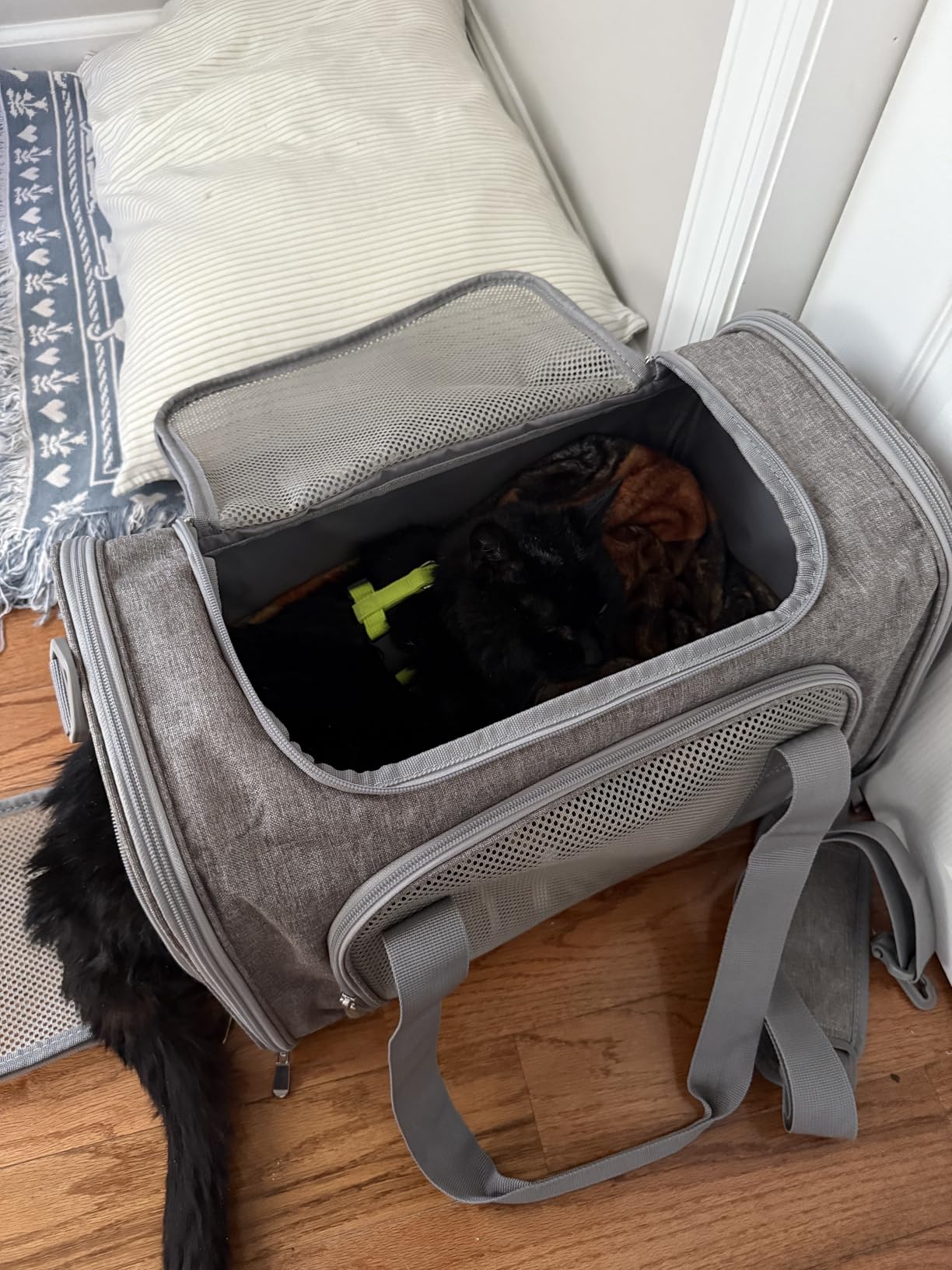 Henkelion Cat Carriers Dog Carrier Pet Carrier for Small / Medium Cats Dogs Puppies (Up To 15lbs), TSA Airline Approved Small Dog Carrier Soft Sided, Collapsible Waterproof Travel Puppy Carrier -Black customer photo 1
