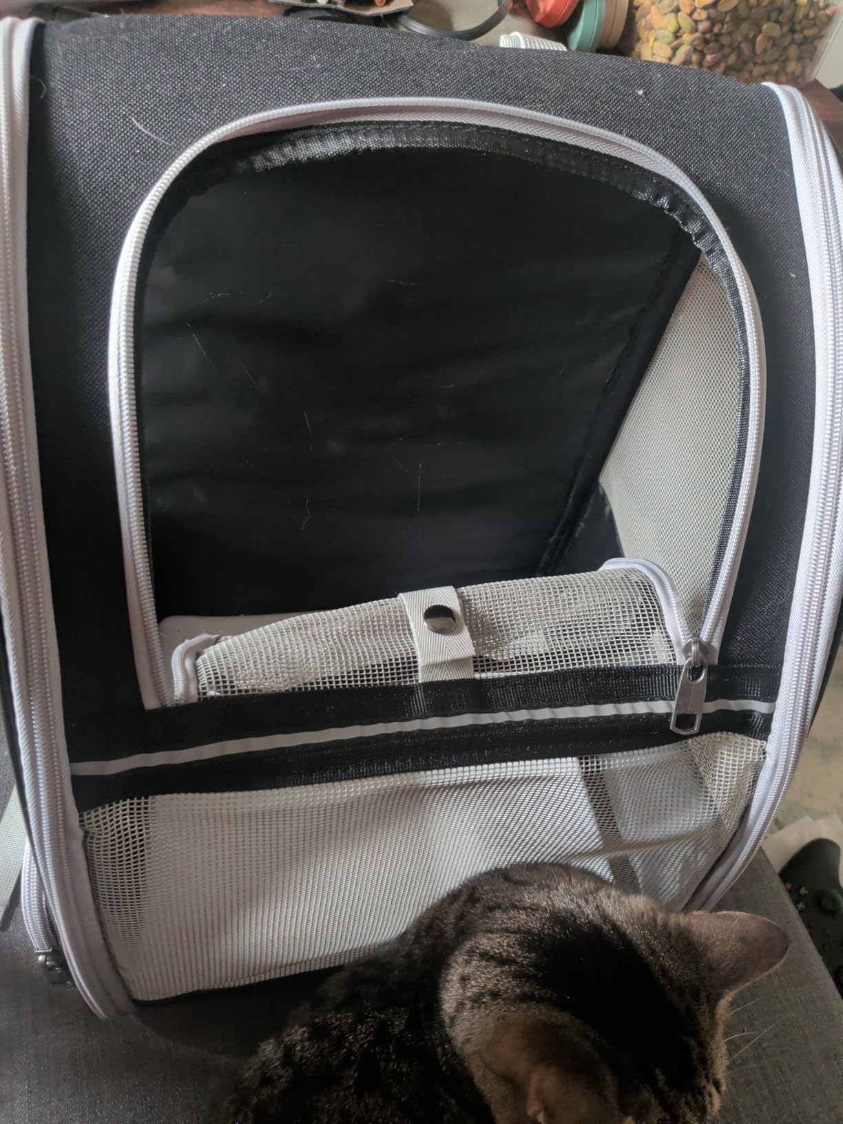 Texsens Innovative Traveler Bubble Backpack Pet Carriers for Cats and Dogs customer photo 2
