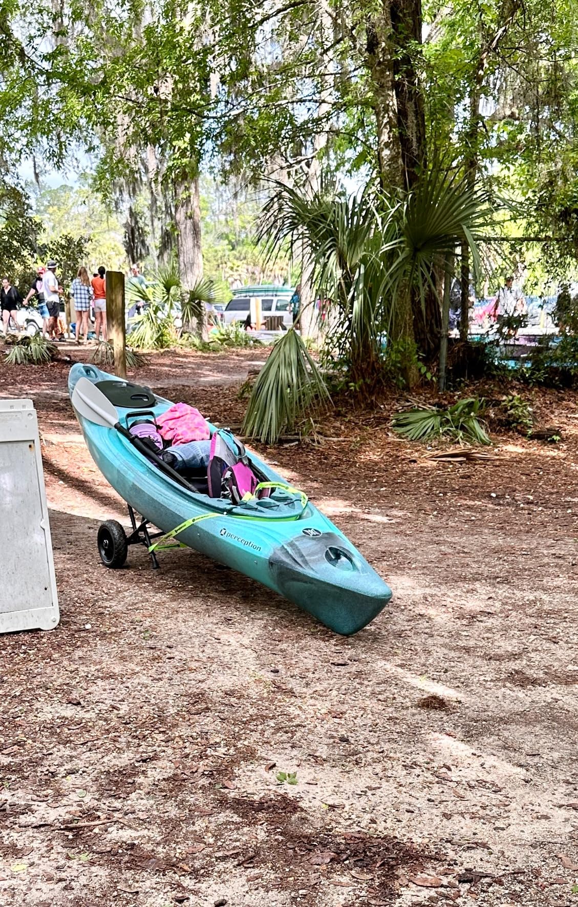 Perception Joyride 10 - Sit Inside Kayak for Adults and Kids - Recreational and Multi-Water Kayak with Selfie Slot - 10 ft customer photo 2