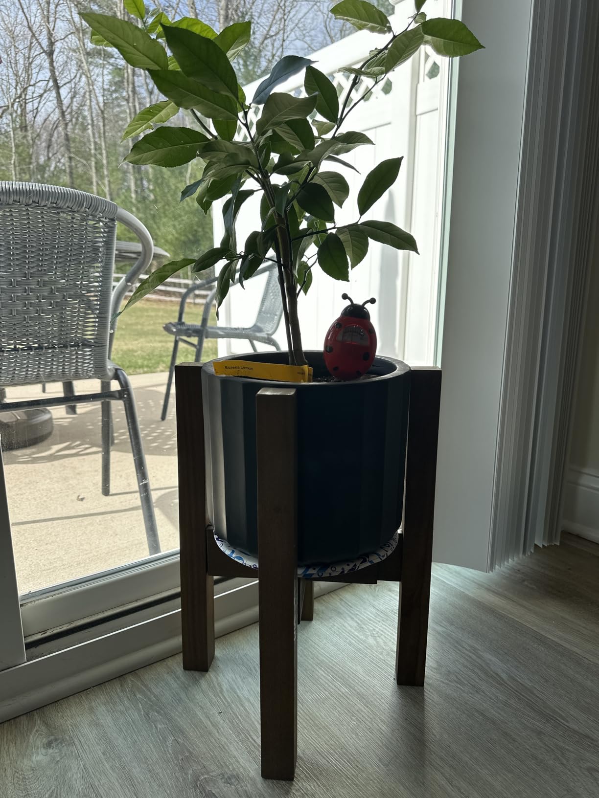 Mid Century Plant Stand - Solid Wood Item Stand Handmade with Acacia - Fits Medium & Large Pots Sizes 8 to 12 inches (Not Included) (Adjustable Width: 8-12 inches, Dark Brown) customer photo 1