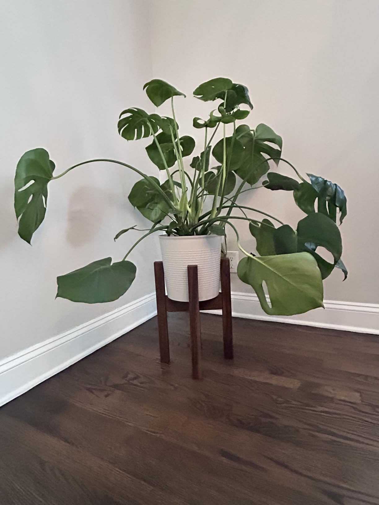Mid Century Plant Stand - Solid Wood Item Stand Handmade with Acacia - Fits Medium & Large Pots Sizes 8 to 12 inches (Not Included) (Adjustable Width: 8-12 inches, Dark Brown) customer photo 2