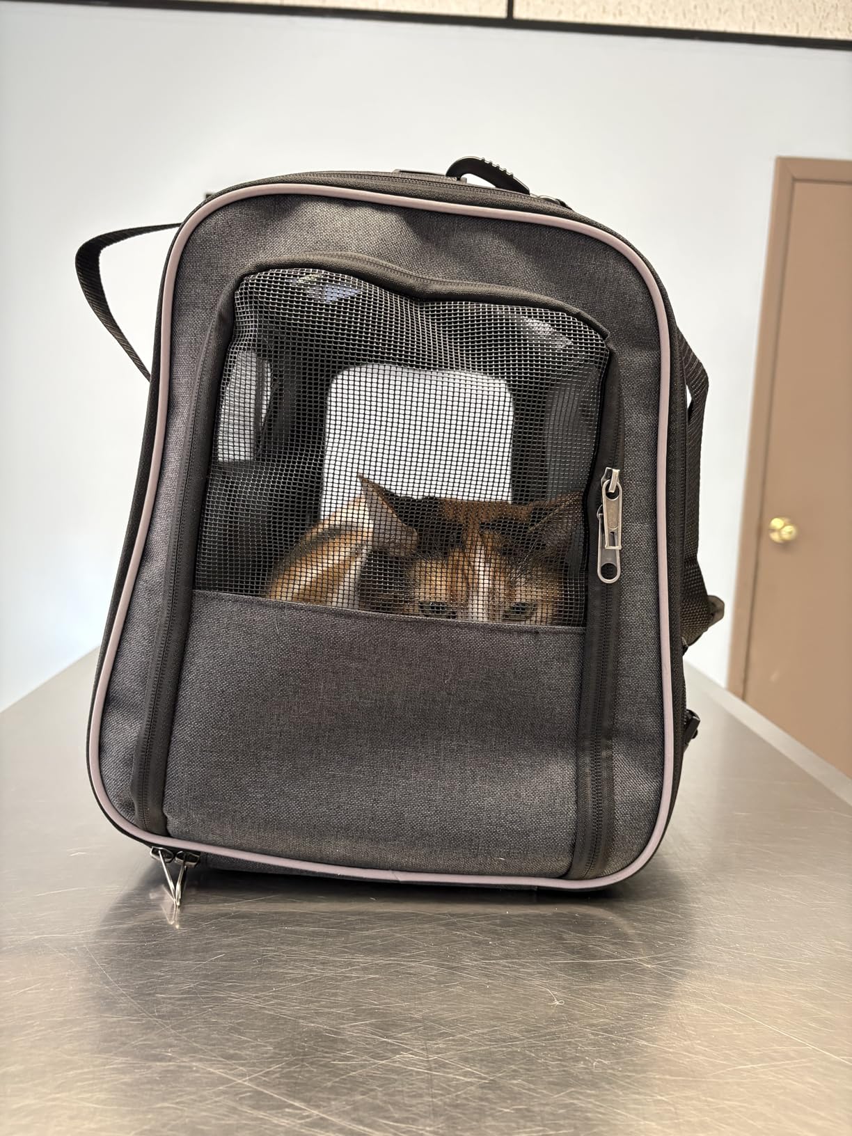 Morpilot Cat Carrier - Cat Carrier Soft for Medium or Large Cats up to 20lbs, with Dual-Sided Cushion, Secure Buckle and Foldable Bowl, Dog Carriers for Small Dogs - Pet Carrier (Dark Gray) customer photo 1