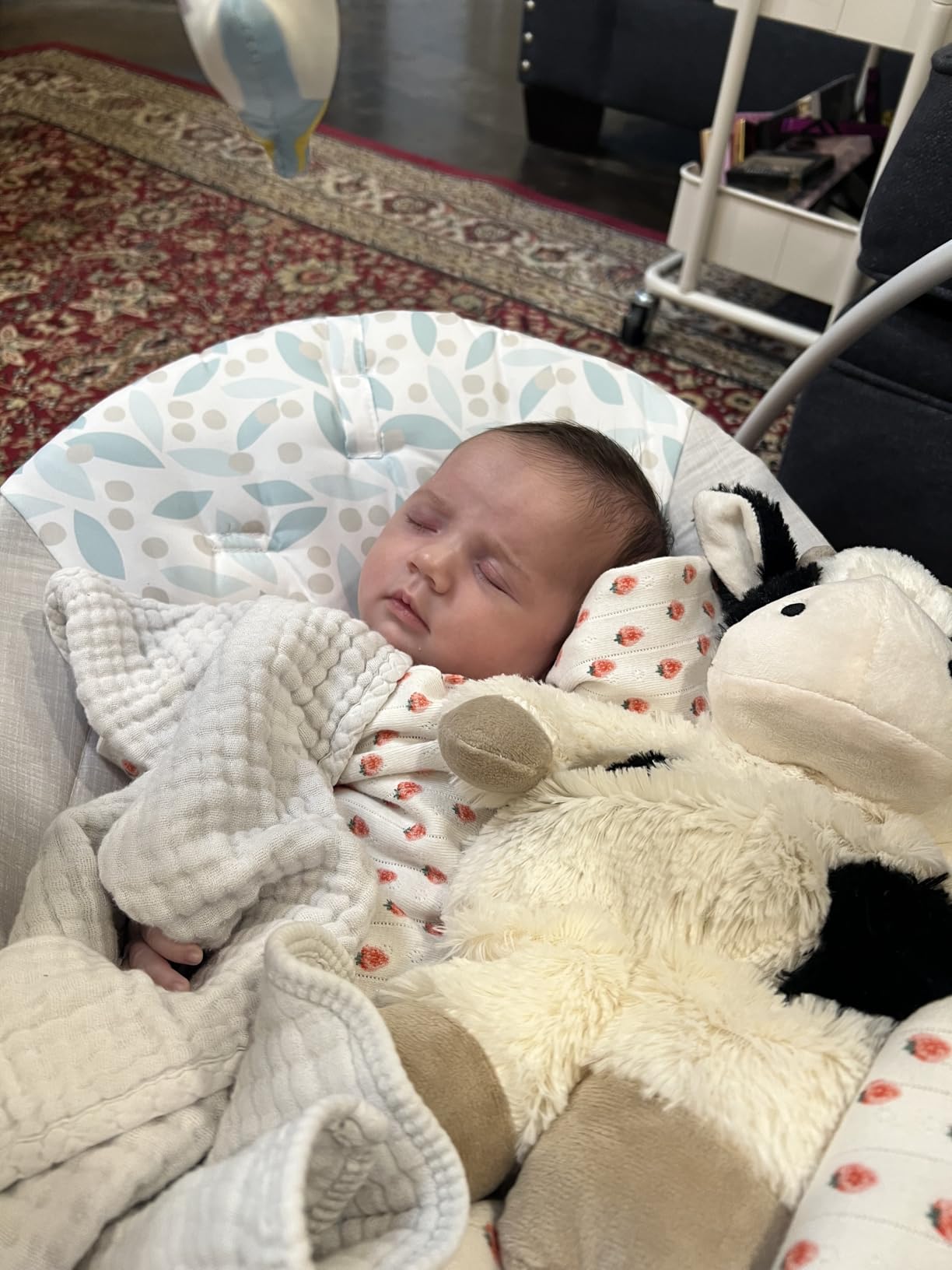 Ingenuity Comfort 2 Go Compact Portable 6-Speed Cushioned Baby Swing with Music, Folds Easy, 0-9 Months 6-20 lbs (Cuddle Lamb) customer photo 2