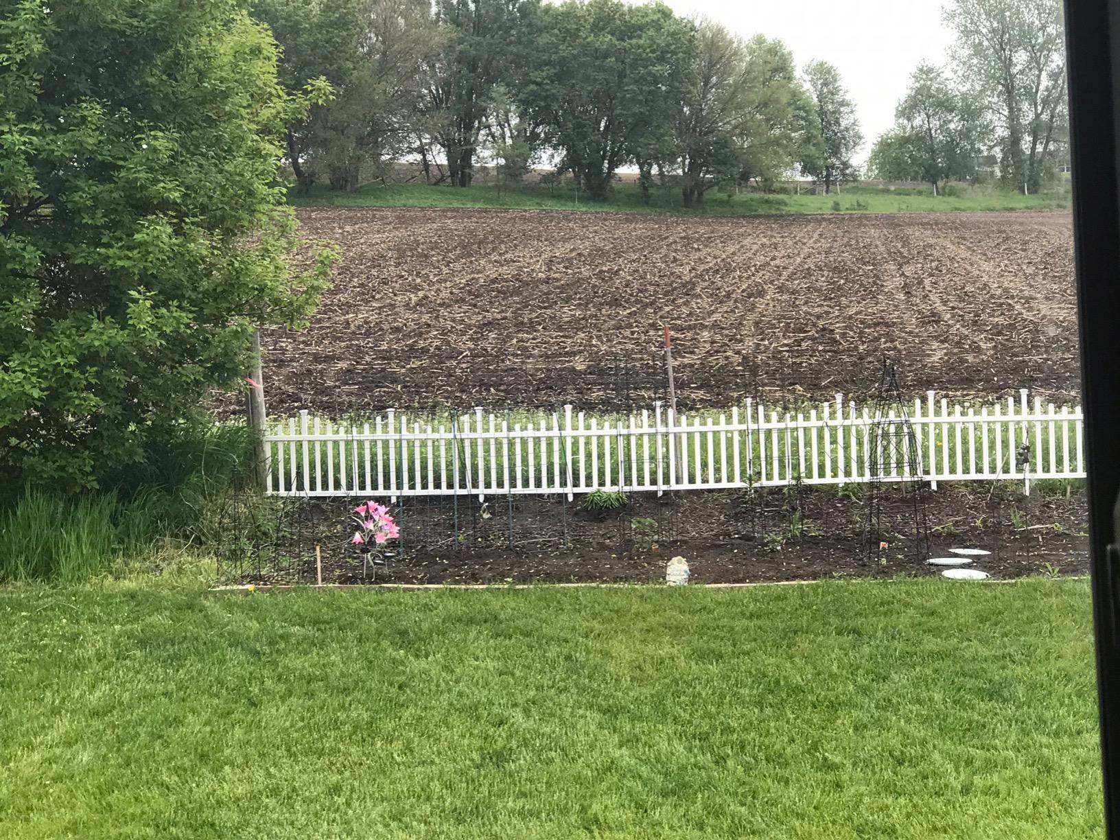 3ft H x 3.5ft W (2 Panels) No Dig Zippity Baskenridge Fence Panel Kit, Vinyl Fencing Panel, White Vinyl Fences for Yard, Temporary for Backyard, White Picket Garden Border, DIY ZP19037 customer photo 2