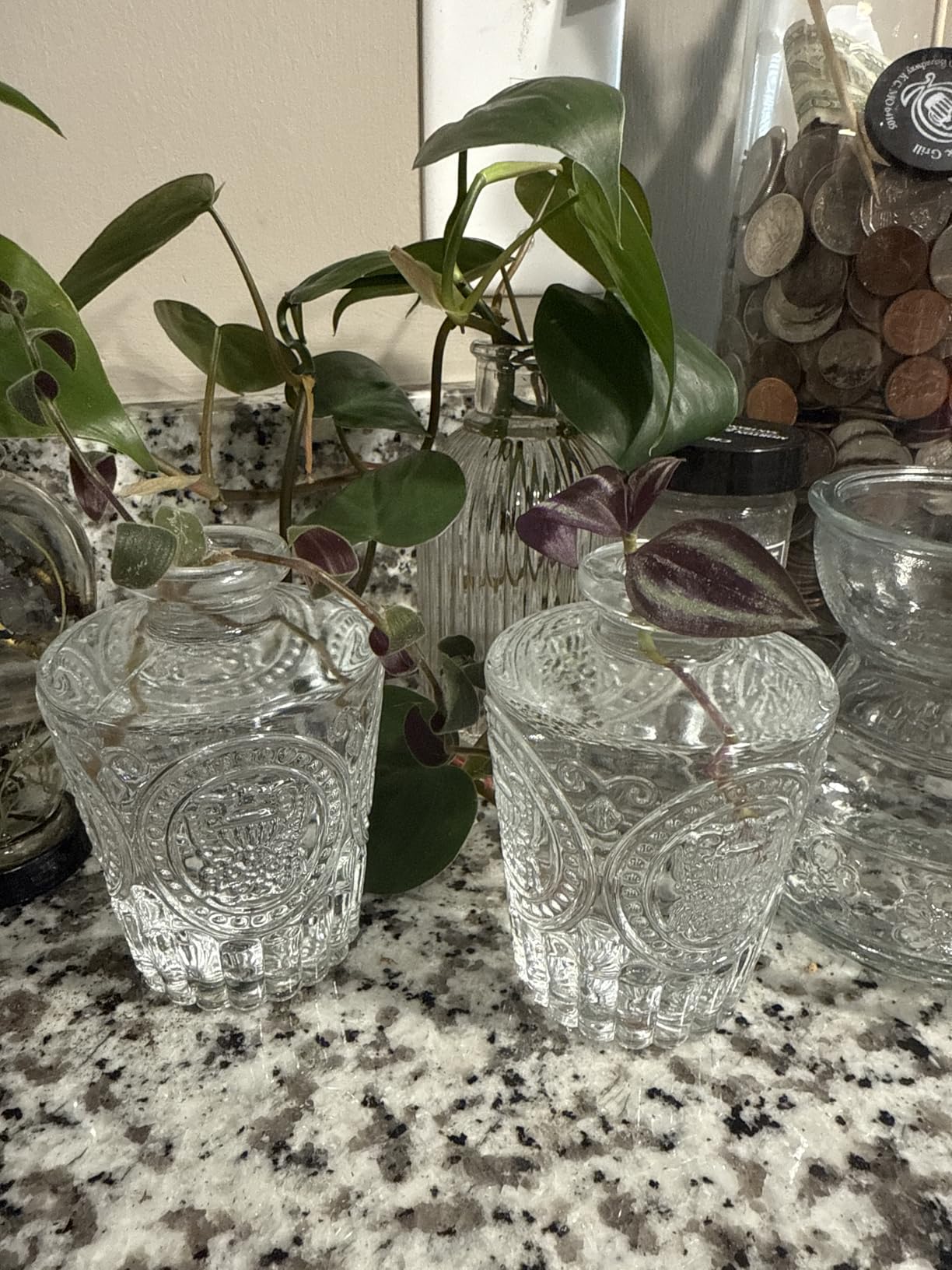 LINALL Bitters Bottle Set - Glass Vintage Bottle with Dash Top (3 pack) customer photo 1