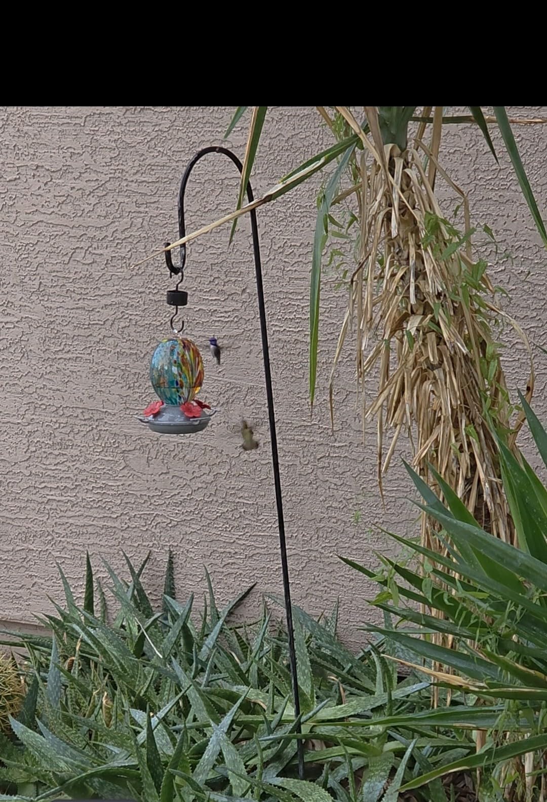 Muse Garden Glass Humming Bird Feeders for Outdoors - 27OZ Blown Glass Hummingbird Feeder - Unique Gift Mom Women, Outdoors Hanging Garden Decor, Includes Ant Moat & Brush, Blue Fireworks customer photo 1