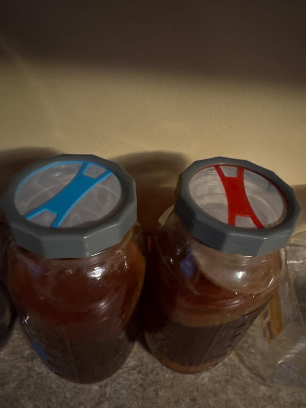 Masontops Complete Kombucha Starter Kit - Includes Organic Scoby, Thermometer, Activating Sugar & Kombucha Brewing Lid customer photo 1