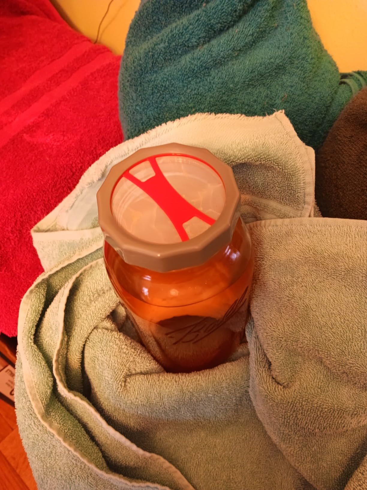 Masontops Complete Kombucha Starter Kit - Includes Organic Scoby, Thermometer, Activating Sugar & Kombucha Brewing Lid customer photo 2