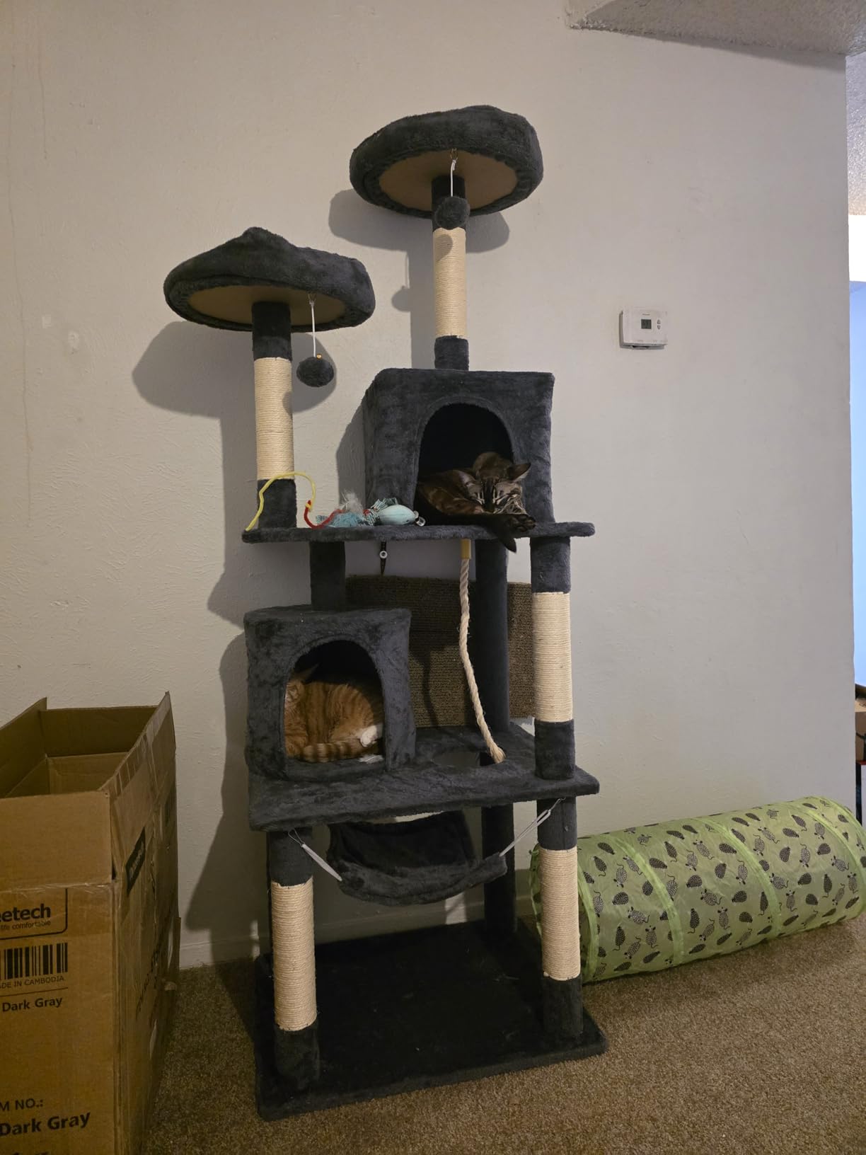 Yaheetech 62.5inches Cat Tree Cat Tower Cat Condo with Platform & Hammock, Scratching Posts for Kittens Pet Play House with Plush Perch for Indoor Activity Relaxing, Dark Gray customer photo 1