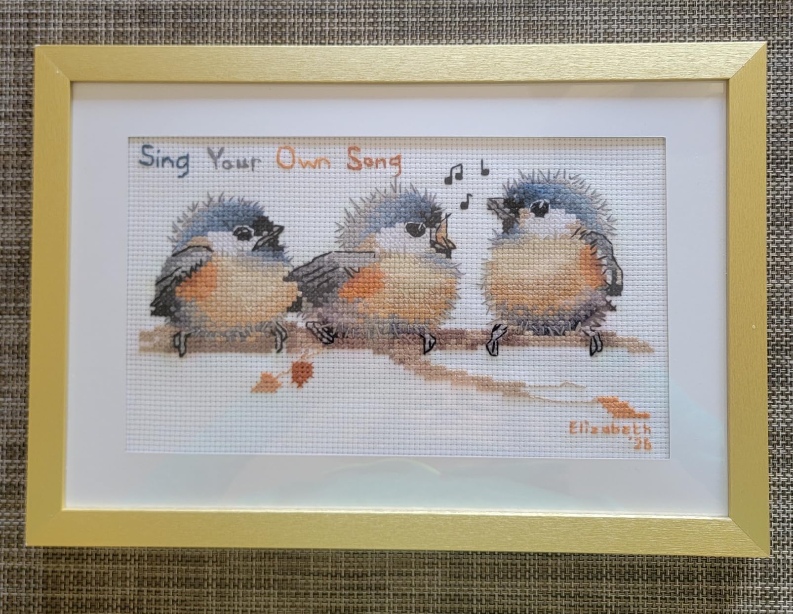 Cross Stitch Kits, Three Birds Awesocrafts Easy Patterns Cross Stitching Embroidery Kit Supplies, Stamped or Counted (Birds, Stamped) customer photo 1