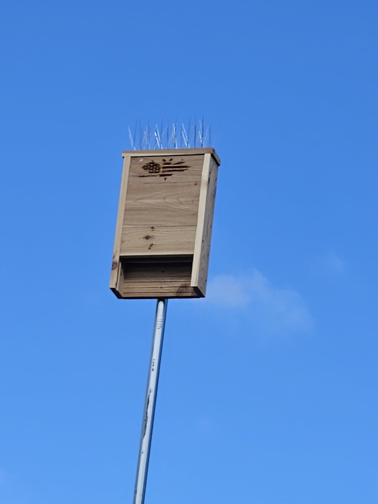 Made in USA, Premium-Grade Red Cedar Bat House, 2 Chamber Bat Box, Easy-to-Install Wooden Bat House Kit, Weather-Resistant Bat Houses for Outdoors, Includes Mounting Screws - Applewood Outdoor customer photo 2