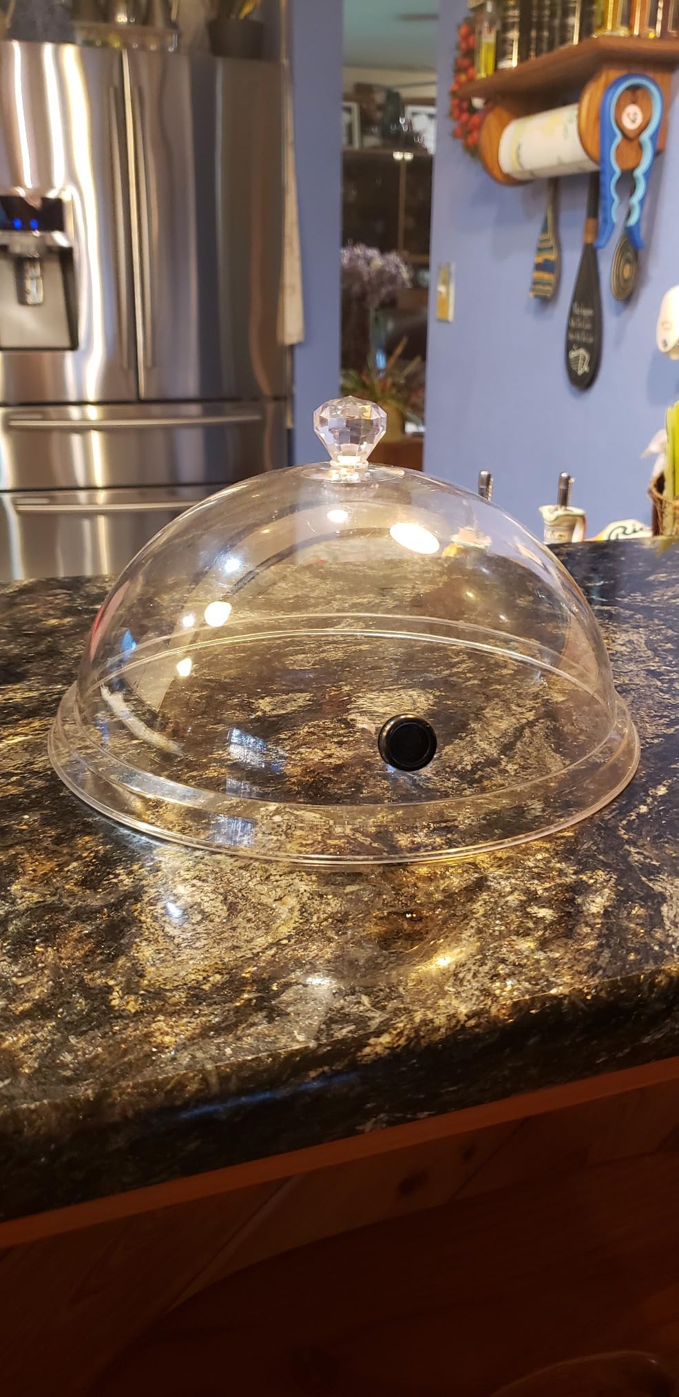 MITBAK 10 Inch Smoking Gun Dome for Plates Glasses Bowls, Smoke Infuser Cloche, Smoke Infuser Accessory Lid customer photo 1
