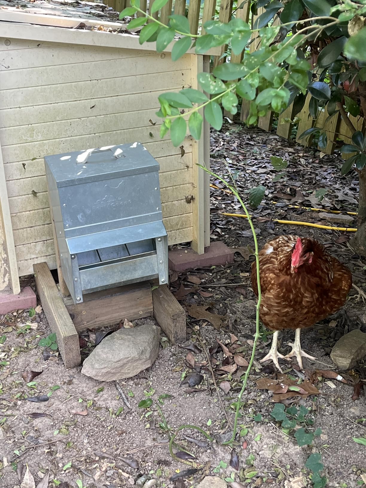 RentACoop Mounted Metallic Trough Poultry Feeder: Waterproof, Chickens/Poultry/Etc. (50LB Capacity) customer photo 1