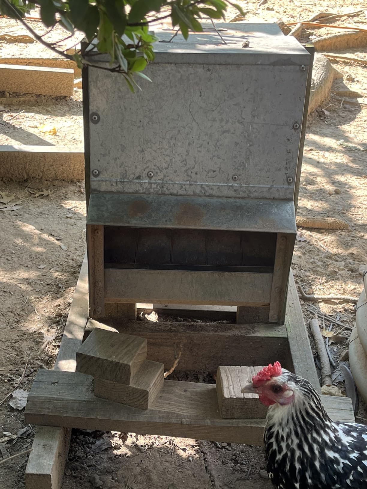 RentACoop Mounted Metallic Trough Poultry Feeder: Waterproof, Chickens/Poultry/Etc. (50LB Capacity) customer photo 2