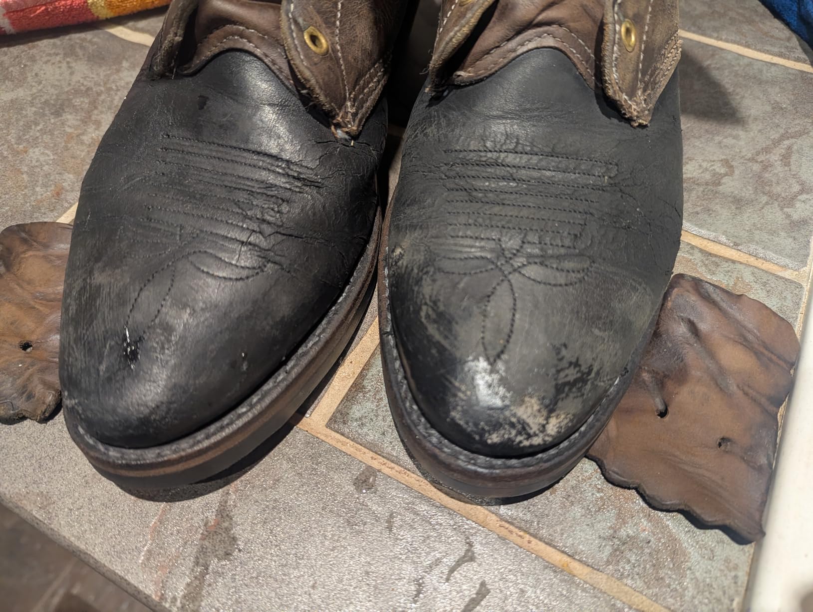 RED MOOSE Boots and Shoe Cream - Shoe Polish Kit for Leather - Shoes Shine - Made in the USA customer photo 1