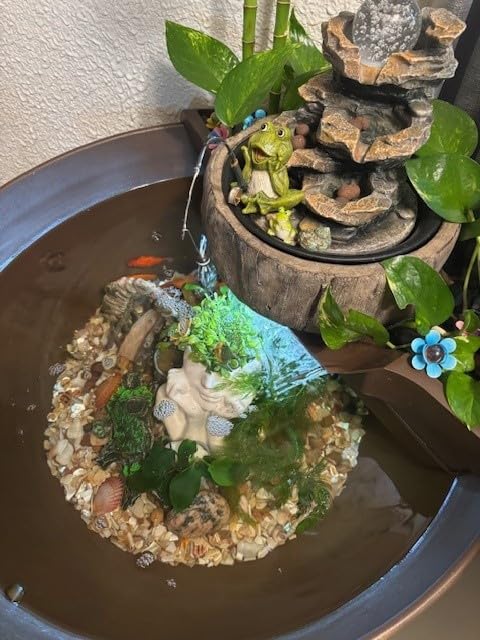 Aquascape AquaGarden Pond Kit, Container Water Garden customer photo 1