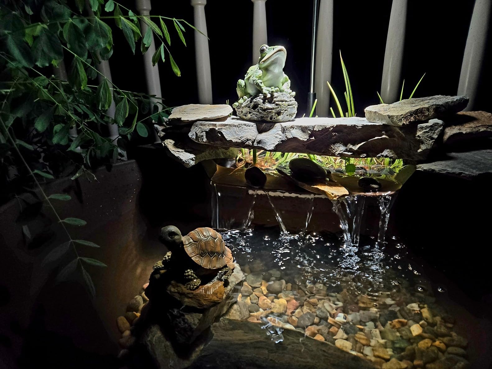 Aquascape AquaGarden Pond Kit, Container Water Garden customer photo 2