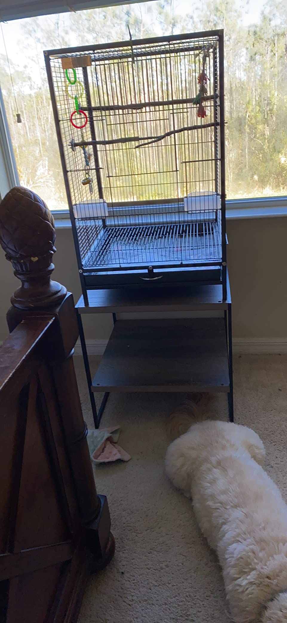 VIVOHOME Wrought Iron Bird Cage with Rolling Stand, 30 Inch Height customer photo 2