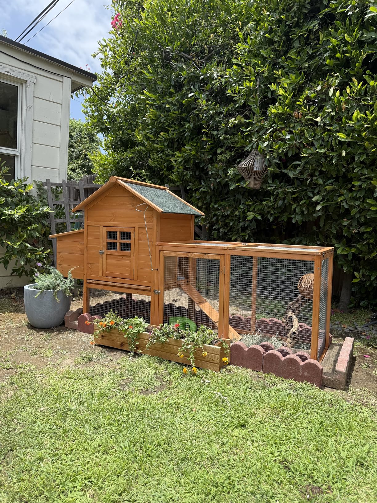 GOJOOASIS Wooden Chicken Coop for 2-5 Chickens Outdoor Wooden Hen House Poultry Pet Hutch for Backyard Outdoor w/Tray Run Cage & Nesting Box(A) customer photo 1