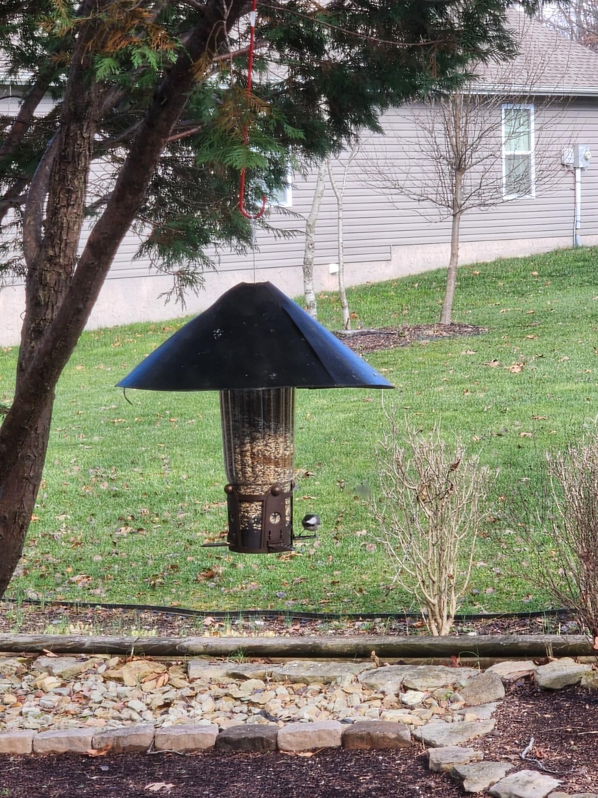 Perky-Pet 334-1SR Squirrel-Be-Gone Max Large Wild Bird Feeder with Flexports, Squirrel Proof Bird Feeder with Weight-Activated Perches - 4LB Seed Capacity customer photo 1
