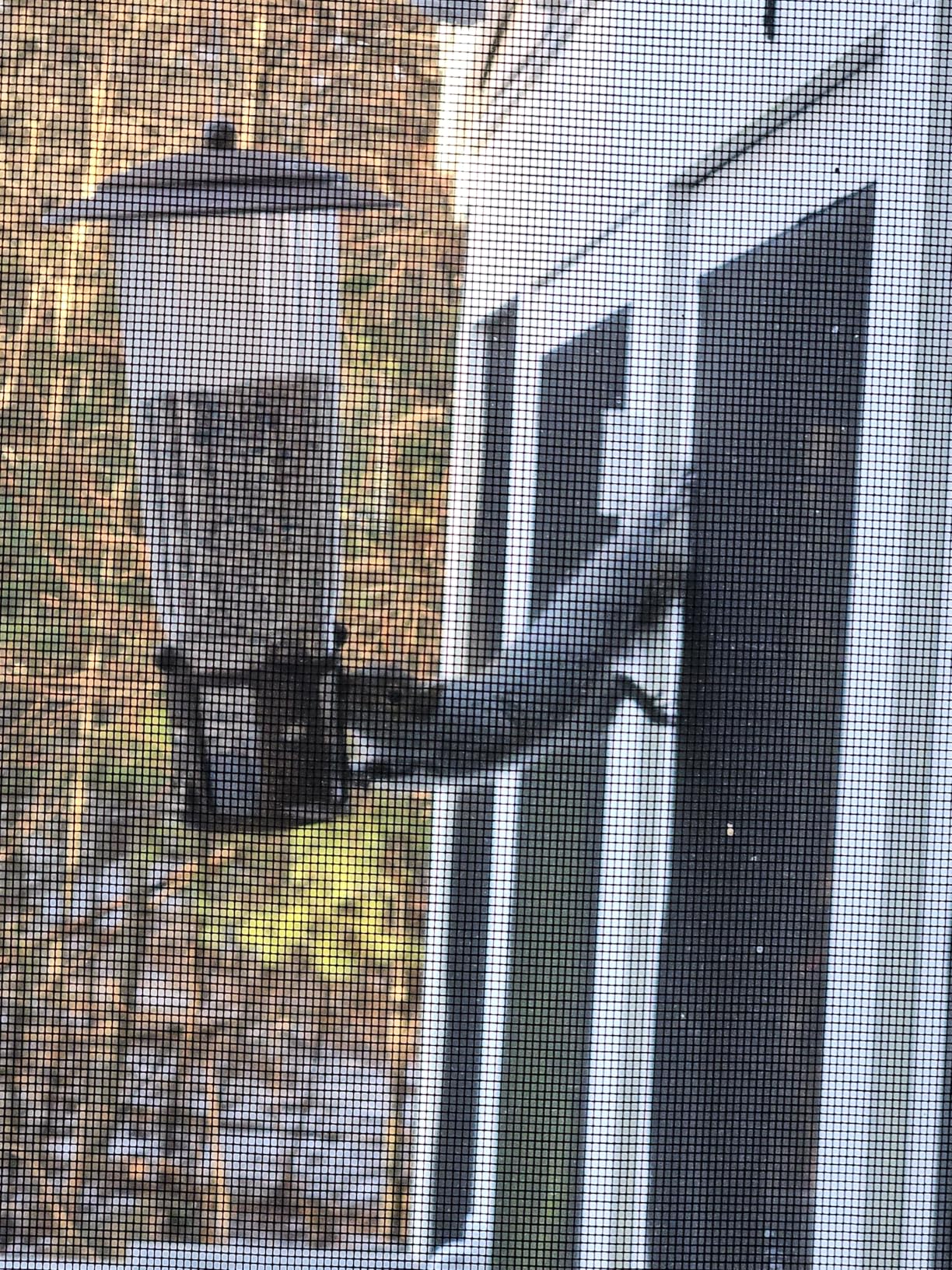 Perky-Pet 334-1SR Squirrel-Be-Gone Max Large Wild Bird Feeder with Flexports, Squirrel Proof Bird Feeder with Weight-Activated Perches - 4LB Seed Capacity customer photo 2